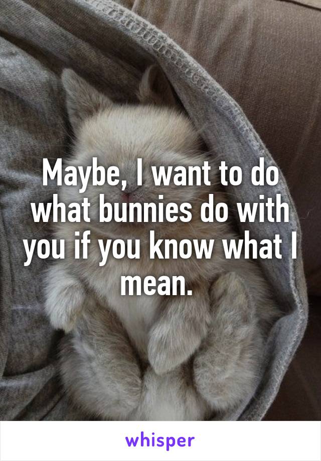 Maybe, I want to do what bunnies do with you if you know what I mean. 
