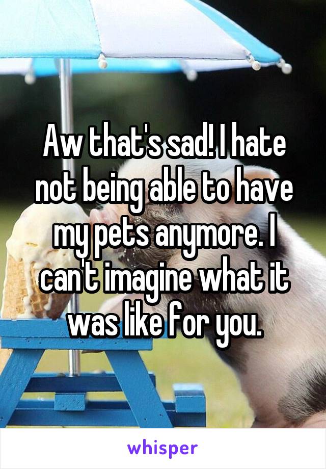 Aw that's sad! I hate not being able to have my pets anymore. I can't imagine what it was like for you.