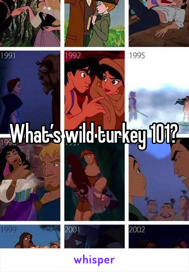 What’s wild turkey 101?