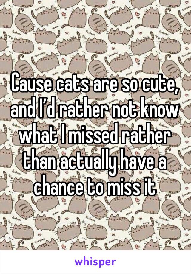 Cause cats are so cute, and I’d rather not know what I missed rather than actually have a chance to miss it 