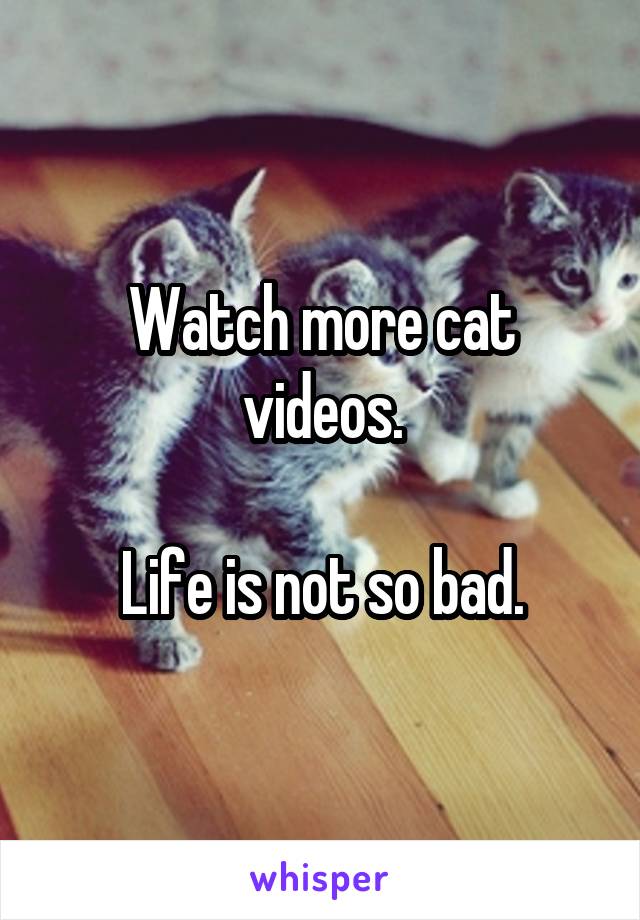Watch more cat videos.

Life is not so bad.