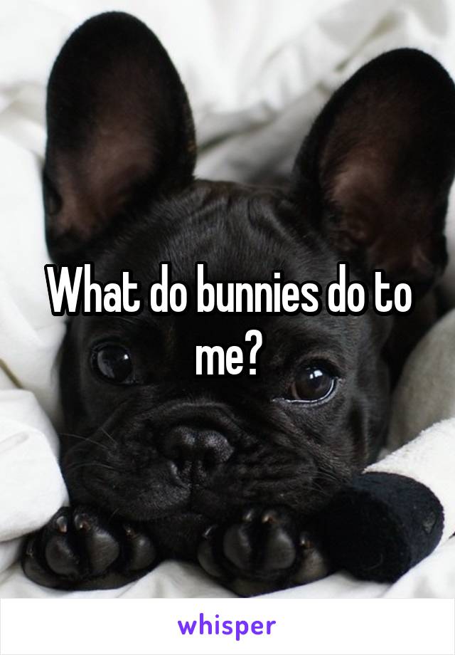 What do bunnies do to me?