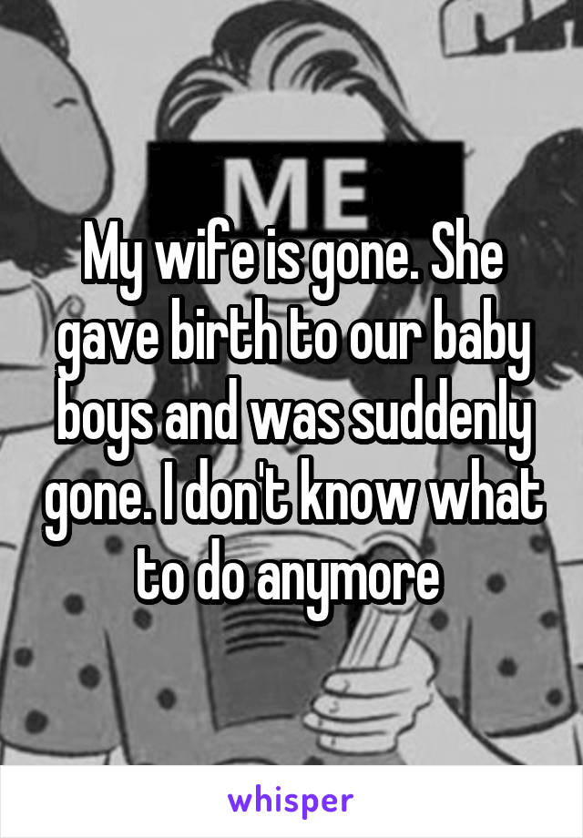 My wife is gone. She gave birth to our baby boys and was suddenly gone. I don't know what to do anymore 