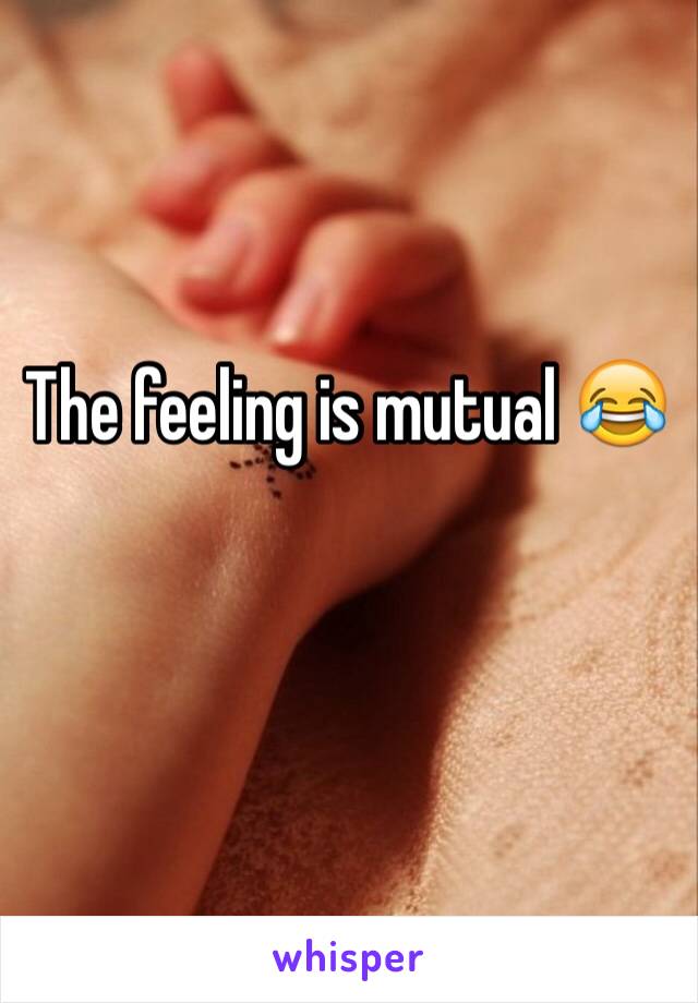 The feeling is mutual 😂