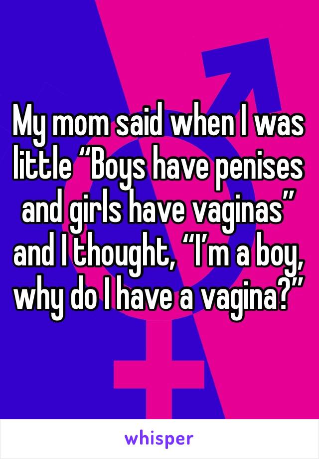 My mom said when I was little “Boys have penises and girls have vaginas” and I thought, “I’m a boy, why do I have a vagina?”