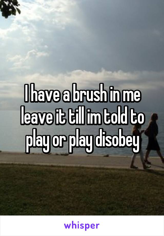I have a brush in me leave it till im told to play or play disobey