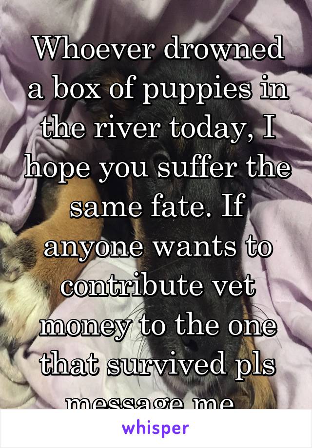 Whoever drowned a box of puppies in the river today, I hope you suffer the same fate. If anyone wants to contribute vet money to the one that survived pls message me. 