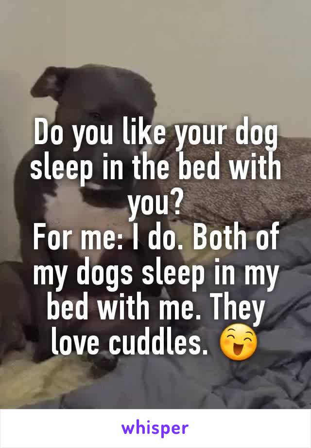 Do you like your dog sleep in the bed with you?
For me: I do. Both of my dogs sleep in my bed with me. They love cuddles. 😄