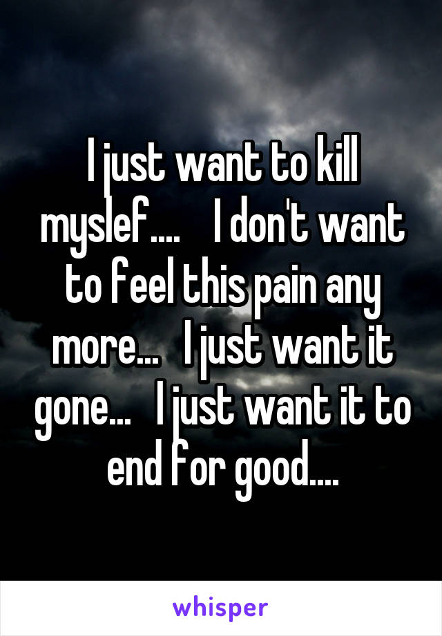 I just want to kill myslef....    I don't want to feel this pain any more...   I just want it gone...   I just want it to end for good....