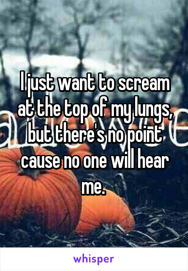 I just want to scream at the top of my lungs, but there's no point cause no one will hear me. 