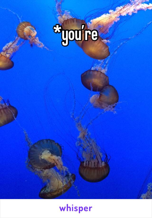 *you’re