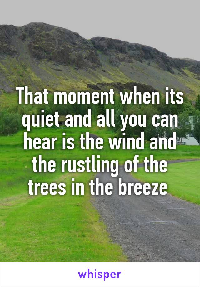 That moment when its quiet and all you can hear is the wind and the rustling of the trees in the breeze 