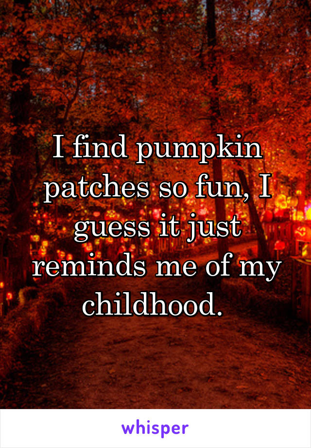 I find pumpkin patches so fun, I guess it just reminds me of my childhood. 