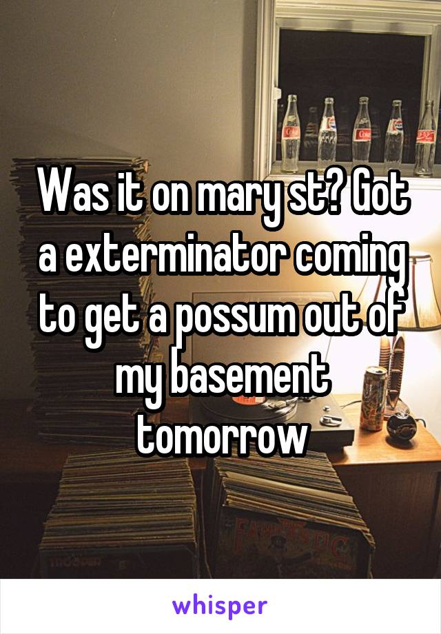 Was it on mary st? Got a exterminator coming to get a possum out of my basement tomorrow