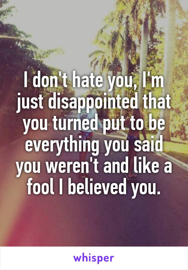 I don't hate you, I'm just disappointed that you turned put to be everything you said you weren't and like a fool I believed you.