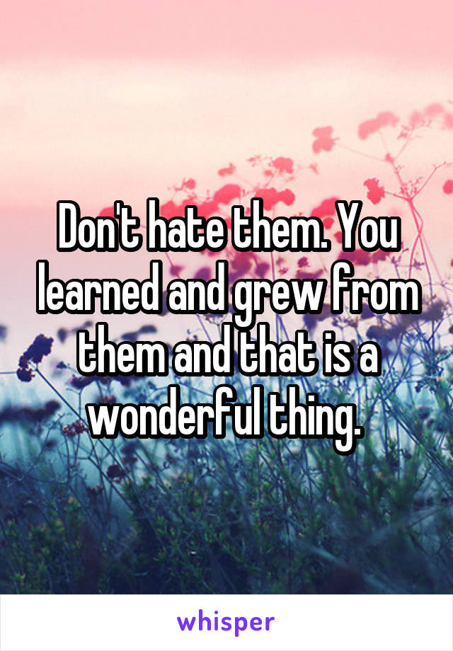 Don't hate them. You learned and grew from them and that is a wonderful thing. 