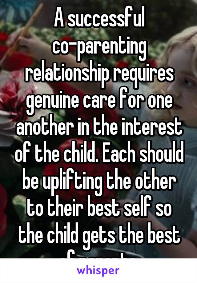 A successful co-parenting relationship requires genuine care for one another in the interest of the child. Each should be uplifting the other to their best self so the child gets the best of parents 