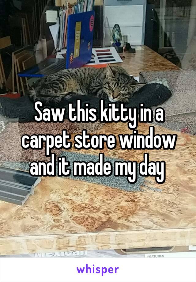 Saw this kitty in a carpet store window and it made my day 