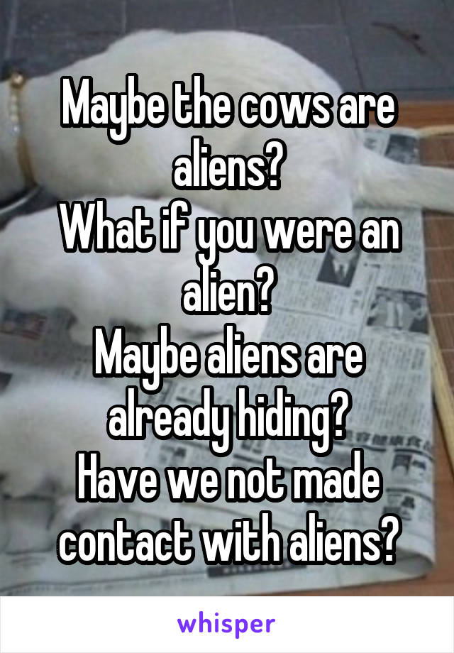 Maybe the cows are aliens?
What if you were an alien?
Maybe aliens are already hiding?
Have we not made contact with aliens?