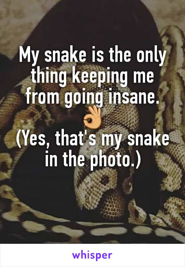 My snake is the only thing keeping me from going insane. 👌
(Yes, that's my snake in the photo.)
