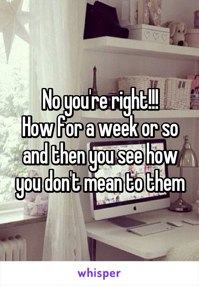 No you're right!!!
How for a week or so and then you see how you don't mean to them