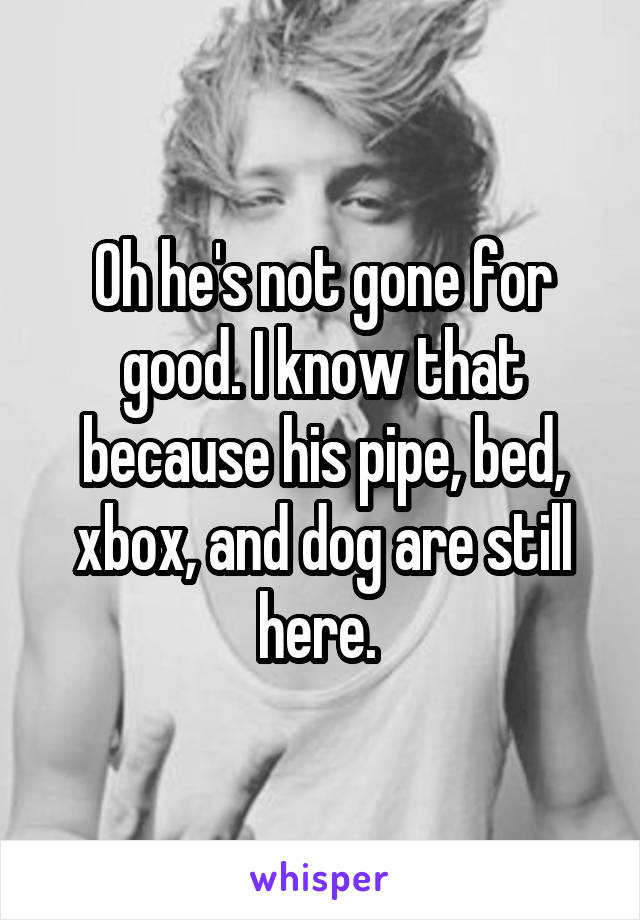 Oh he's not gone for good. I know that because his pipe, bed, xbox, and dog are still here. 