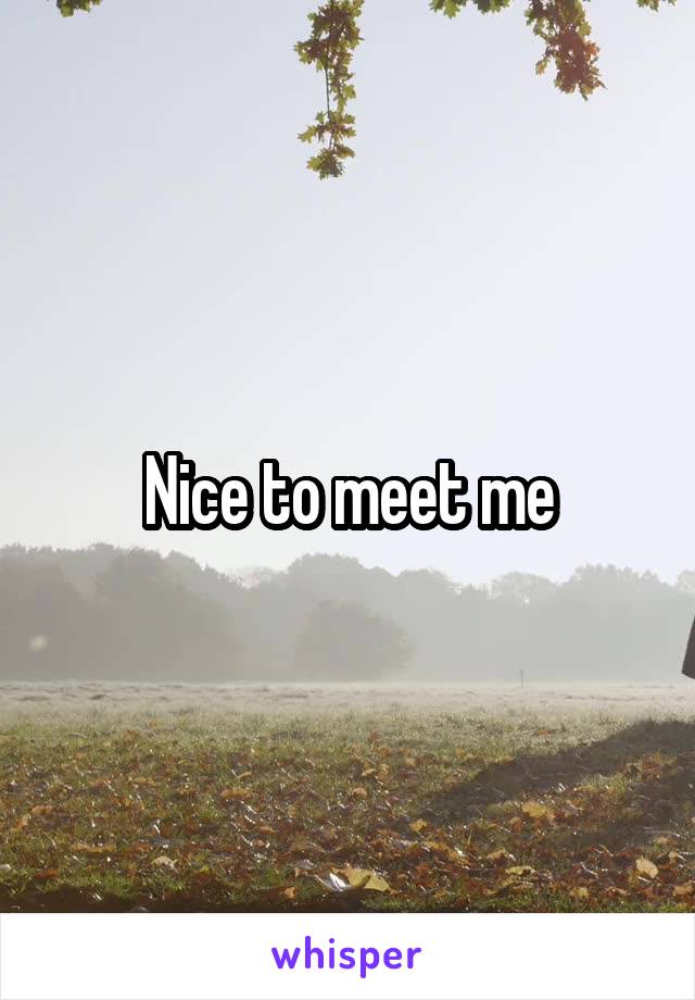 Nice to meet me