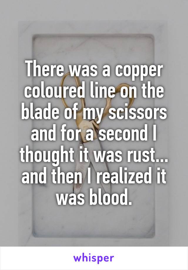 There was a copper coloured line on the blade of my scissors and for a second I thought it was rust... and then I realized it was blood.