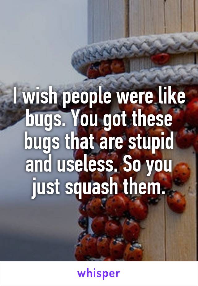 I wish people were like bugs. You got these bugs that are stupid and useless. So you just squash them.