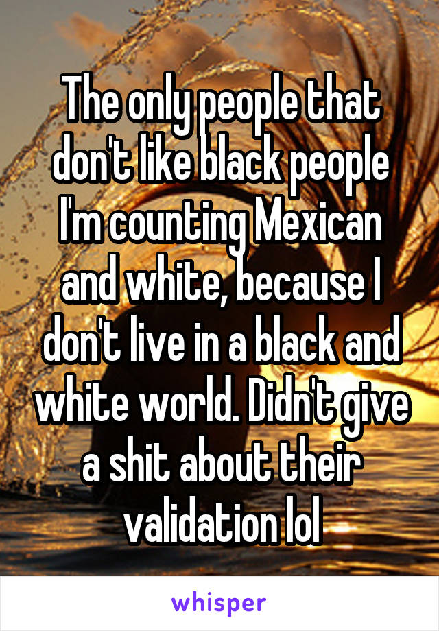 The only people that don't like black people I'm counting Mexican and white, because I don't live in a black and white world. Didn't give a shit about their validation lol