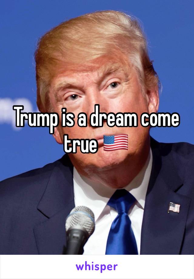 Trump is a dream come true 🇺🇸