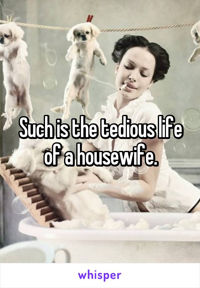 Such is the tedious life of a housewife.