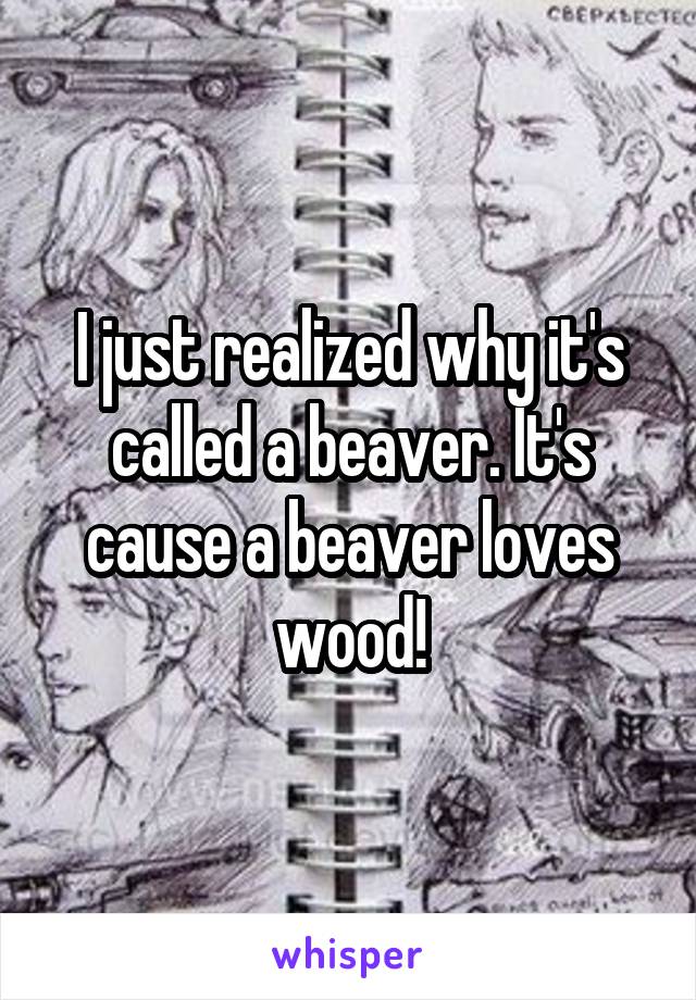 I just realized why it's called a beaver. It's cause a beaver loves wood!