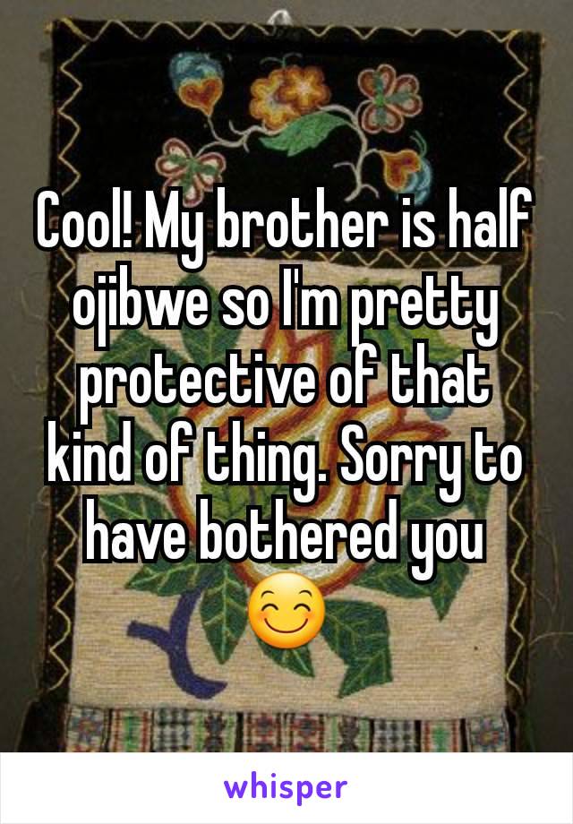 Cool! My brother is half ojibwe so I'm pretty protective of that kind of thing. Sorry to have bothered you 😊