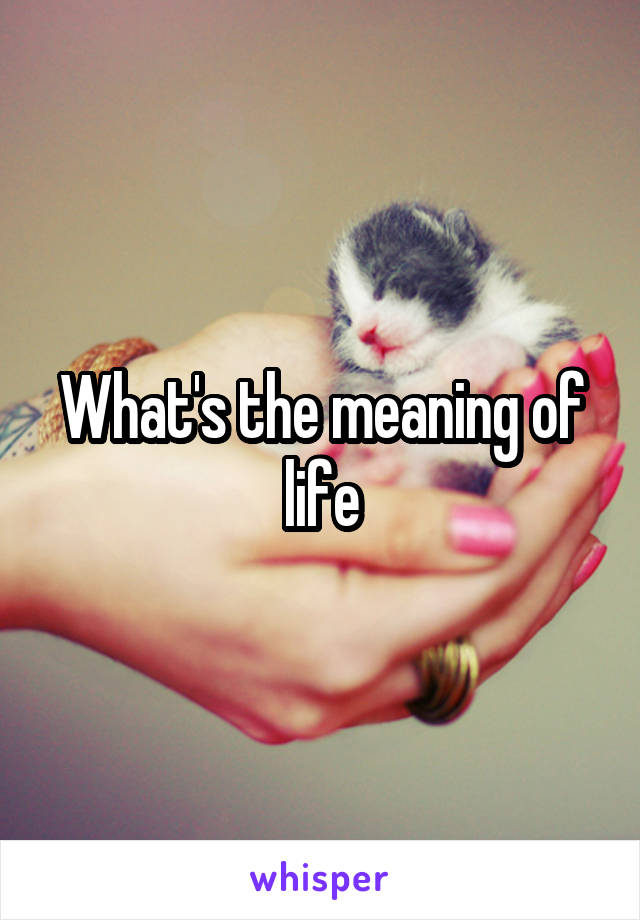What's the meaning of life