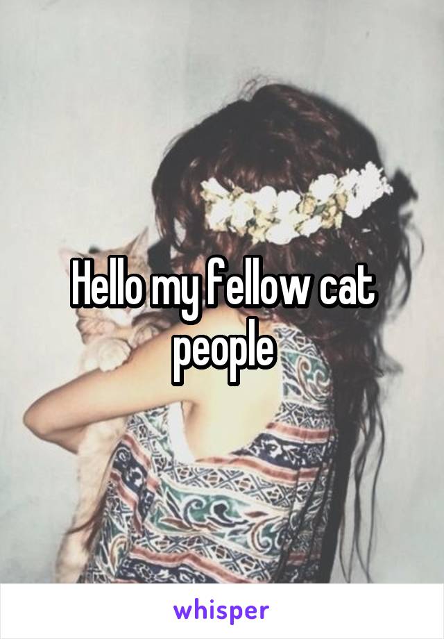 Hello my fellow cat people