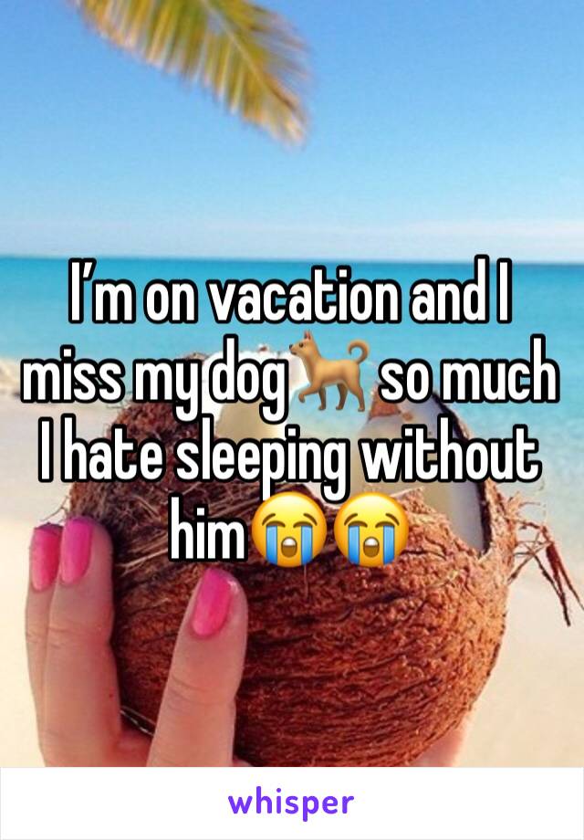 I’m on vacation and I miss my dog🐕 so much I hate sleeping without him😭😭