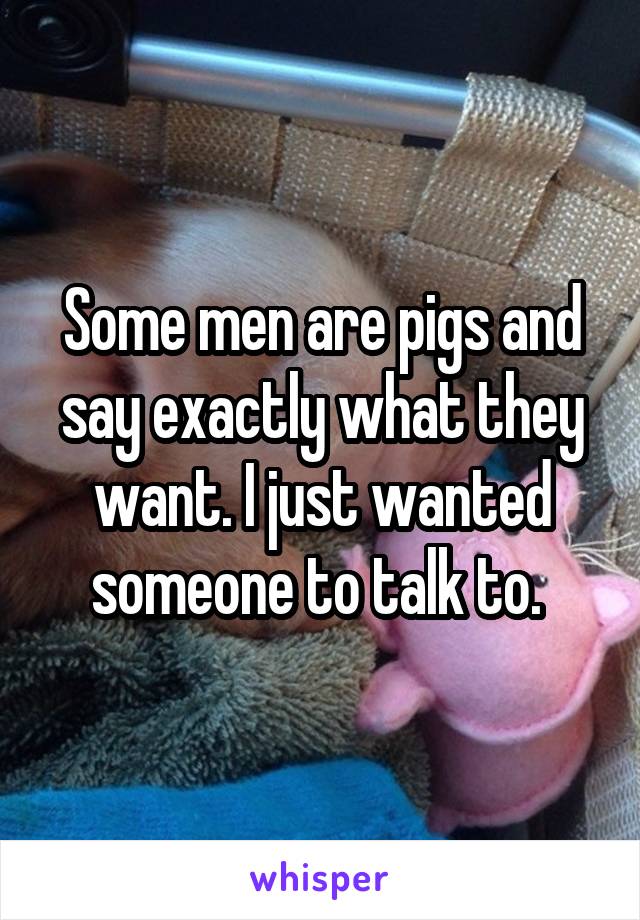 Some men are pigs and say exactly what they want. I just wanted someone to talk to. 