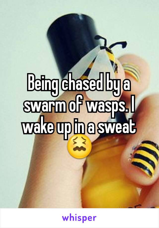 Being chased by a swarm of wasps. I wake up in a sweat😖