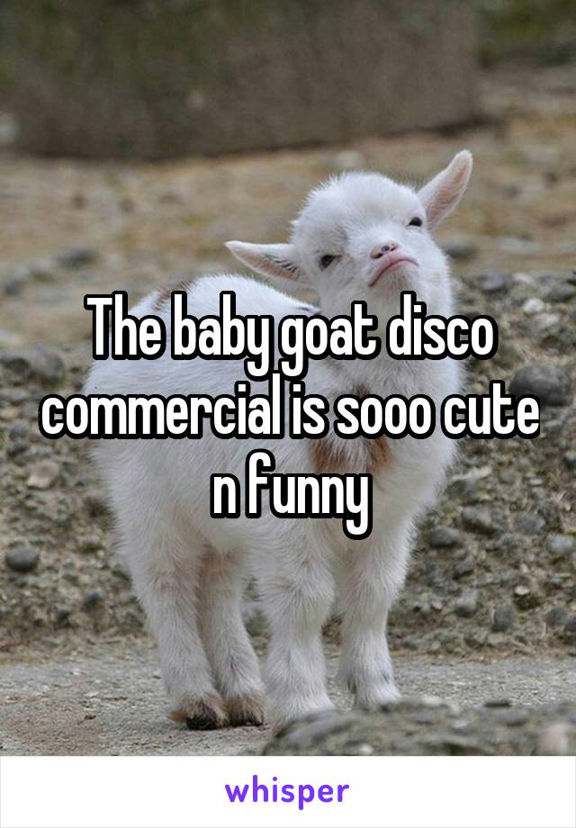 The baby goat disco commercial is sooo cute n funny