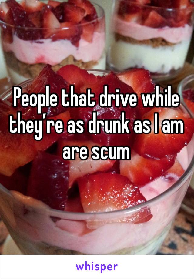 People that drive while they’re as drunk as I am are scum
