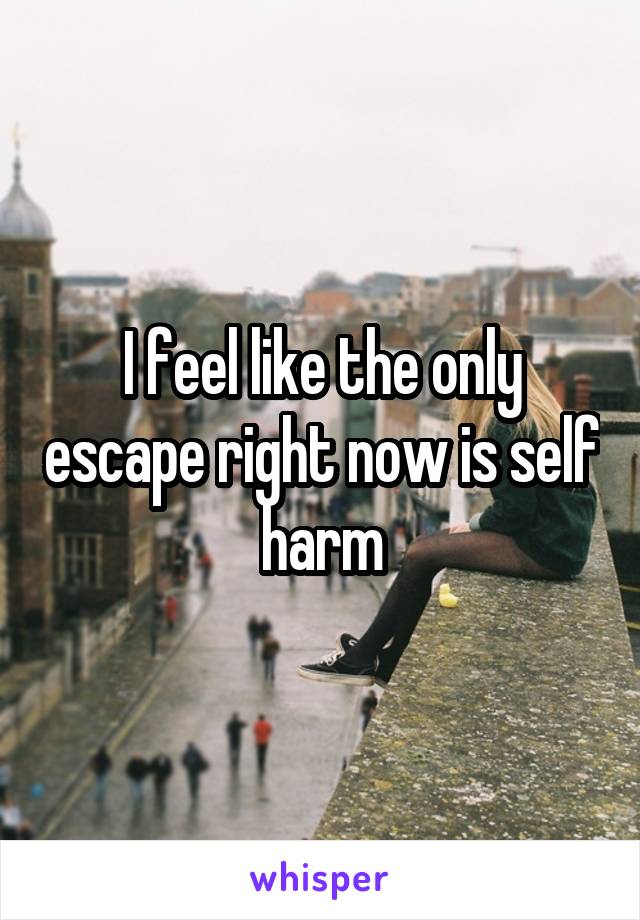 I feel like the only escape right now is self harm