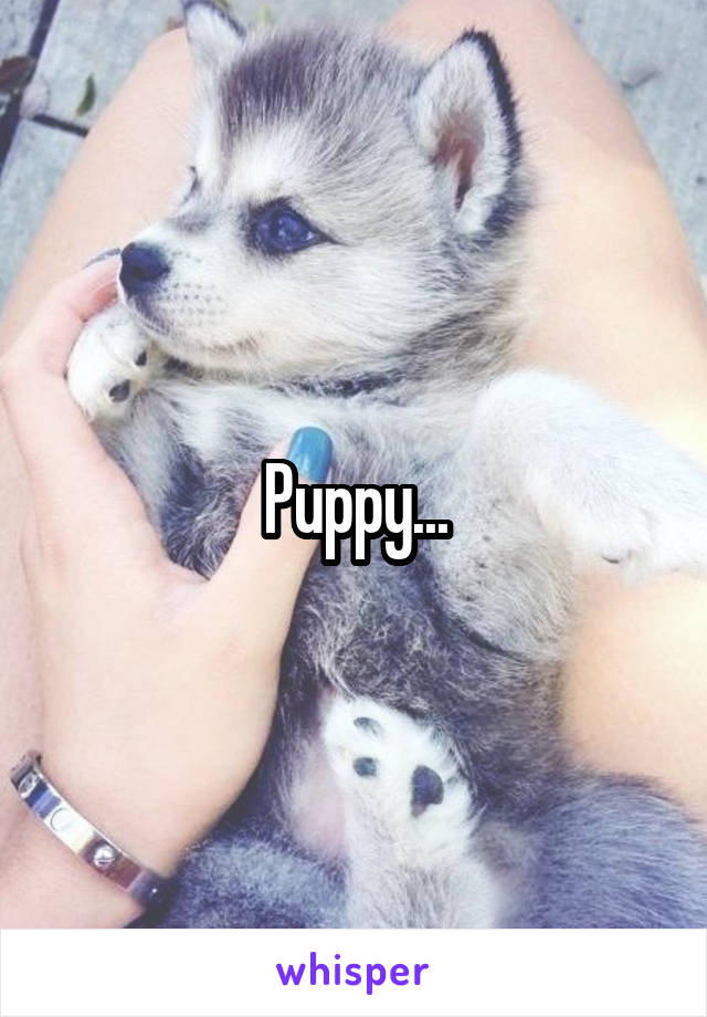 Puppy...
