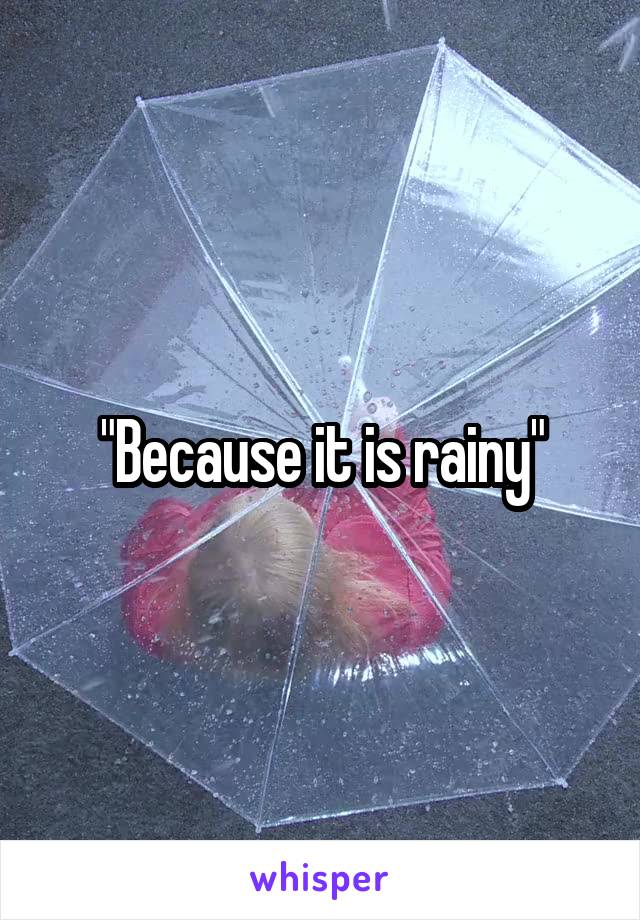 "Because it is rainy"