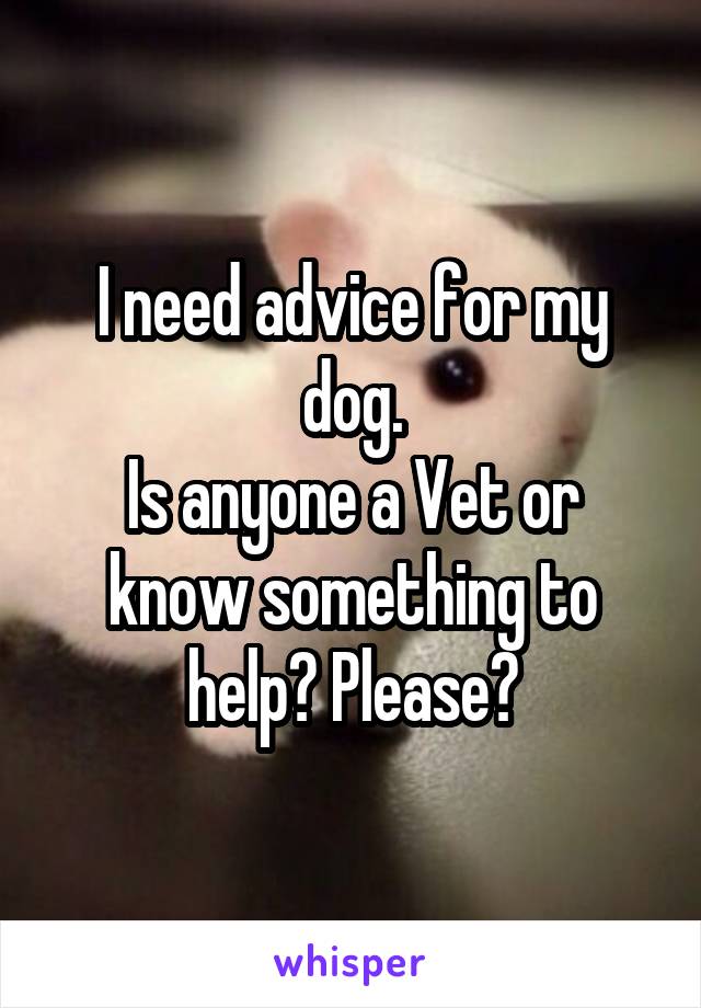 I need advice for my dog.
Is anyone a Vet or know something to help? Please?