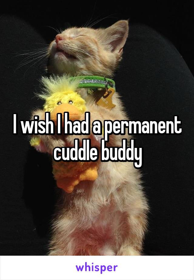 I wish I had a permanent cuddle buddy