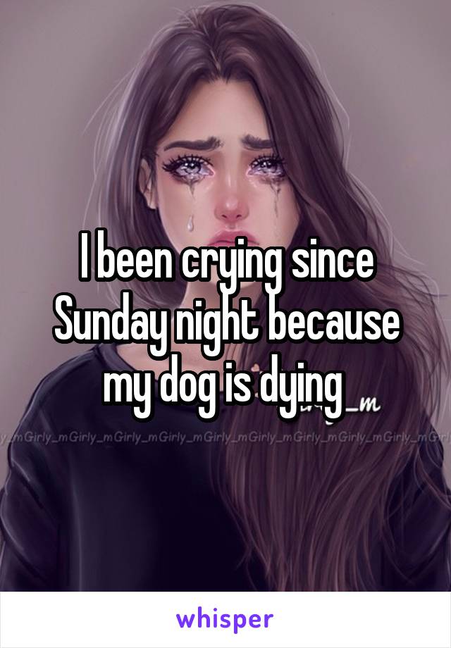 I been crying since Sunday night because my dog is dying 