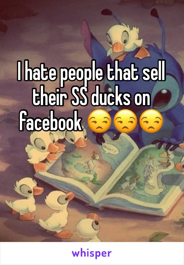 I hate people that sell their SS ducks on facebook 😒😒😒