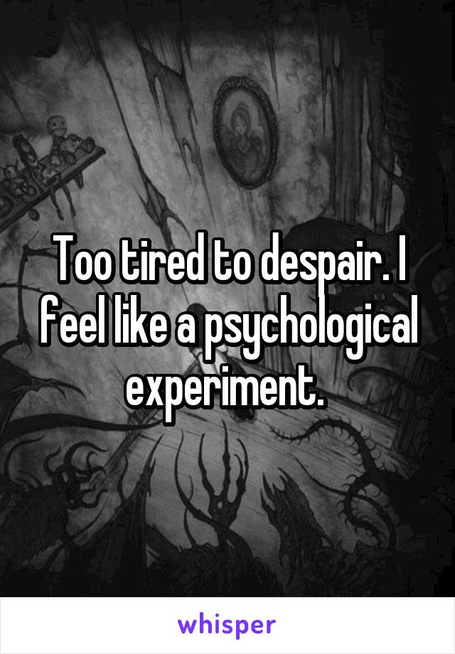 Too tired to despair. I feel like a psychological experiment. 