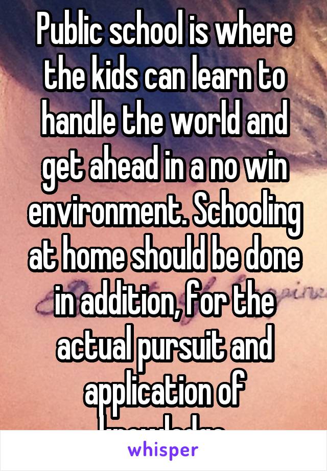 Public school is where the kids can learn to handle the world and get ahead in a no win environment. Schooling at home should be done in addition, for the actual pursuit and application of knowledge.